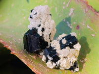 Natural Schorl Black Tourmaline Specimens on Orthoclase Matrix x 70 From Erongo, Namibia - Toprock Gemstones and Minerals