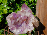 Natural Large Jacaranda Amethyst Quartz Cluster x 1 From Mumbwa, Zambia - Toprock Gemstones and Minerals