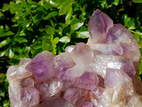 Natural Large Jacaranda Amethyst Quartz Cluster x 1 From Mumbwa, Zambia - Toprock Gemstones and Minerals