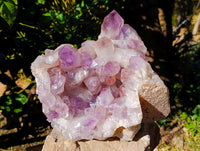Natural Large Jacaranda Amethyst Quartz Cluster x 1 From Mumbwa, Zambia - Toprock Gemstones and Minerals