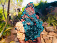 Natural Classic Dioptase On Dolomite Cabinet Specimen x 1 From Likasi, Congo - Toprock Gemstones and Minerals