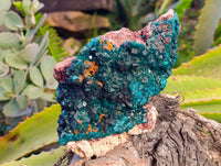 Natural Classic Dioptase On Dolomite Cabinet Specimen x 1 From Likasi, Congo - Toprock Gemstones and Minerals