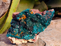 Natural Classic Dioptase On Dolomite Cabinet Specimen x 1 From Likasi, Congo - Toprock Gemstones and Minerals