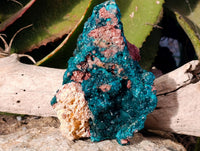 Natural Classic Dioptase On Dolomite Cabinet Specimen x 1 From Likasi, Congo - Toprock Gemstones and Minerals
