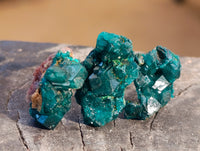 Natural Small Dioptase On Dolomite Specimens x 35 From Likasi, Congo - Toprock Gemstones and Minerals