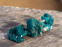 Natural Small Dioptase On Dolomite Specimens x 35 From Likasi, Congo - Toprock Gemstones and Minerals