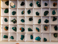 Natural Small Dioptase On Dolomite Specimens x 35 From Likasi, Congo - Toprock Gemstones and Minerals