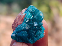 Natural Small Dioptase On Dolomite Specimens x 35 From Likasi, Congo - Toprock Gemstones and Minerals