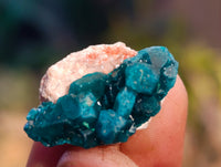 Natural Small Dioptase On Dolomite Specimens x 35 From Likasi, Congo - Toprock Gemstones and Minerals