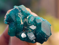 Natural Small Dioptase On Dolomite Specimens x 35 From Likasi, Congo - Toprock Gemstones and Minerals
