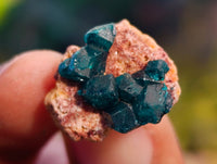 Natural Small Dioptase On Dolomite Specimens x 35 From Likasi, Congo - Toprock Gemstones and Minerals