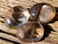 Polished Mix Of Selected Palm Stones x 20 From Madagascar - Toprock Gemstones and Minerals