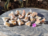 Natural Limonite Coated Fairy Spirit Quartz Clusters x 35 From South Africa - Toprock Gemstones and Minerals