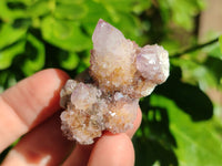 Natural Lilac Spirit Quartz Clusters x 24 From South Africa - Toprock Gemstones and Minerals