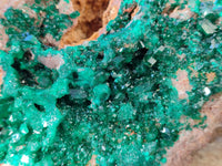 Natural Classic Large Dioptase On Dolomite Cabinet Specimen x 1 From Likasi, Congo - Toprock Gemstones and Minerals