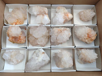 Natural Cactus Flower Spirit Quartz Clusters x 12 From South Africa - Toprock Gemstones and Minerals