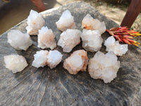 Natural Cactus Flower Spirit Quartz Clusters x 12 From South Africa - Toprock Gemstones and Minerals