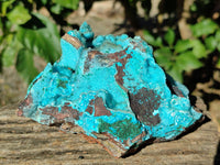 Natural Drusy Coated Chrysocolla with Malachite x 2 From Lupoto Mine, Congo - Toprock Gemstones and Minerals