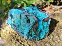 Natural Drusy Coated Chrysocolla with Malachite x 2 From Lupoto Mine, Congo - Toprock Gemstones and Minerals
