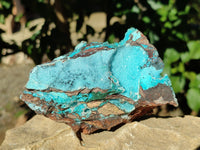 Natural Drusy Coated Chrysocolla with Malachite x 2 From Lupoto Mine, Congo - Toprock Gemstones and Minerals