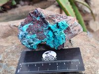 Natural Drusy Coated Chrysocolla with Malachite x 2 From Lupoto Mine, Congo - Toprock Gemstones and Minerals