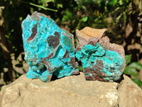 Natural Drusy Coated Chrysocolla with Malachite x 2 From Lupoto Mine, Congo - Toprock Gemstones and Minerals