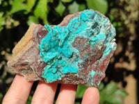 Natural Drusy Coated Chrysocolla with Malachite x 2 From Lupoto Mine, Congo - Toprock Gemstones and Minerals