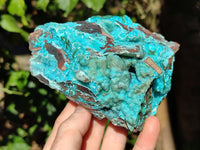 Natural Drusy Coated Chrysocolla with Malachite x 2 From Lupoto Mine, Congo - Toprock Gemstones and Minerals