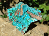 Natural Drusy Coated Chrysocolla with Malachite x 2 From Lupoto Mine, Congo - Toprock Gemstones and Minerals