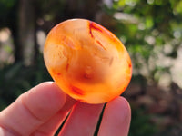 Polished Carnelian Palm Stones x 24 From Madagascar - Toprock Gemstones and Minerals