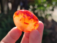 Polished Carnelian Palm Stones x 24 From Madagascar - Toprock Gemstones and Minerals