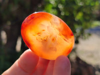 Polished Carnelian Palm Stones x 24 From Madagascar - Toprock Gemstones and Minerals