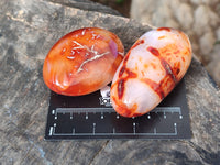 Polished Carnelian Palm Stones x 24 From Madagascar - Toprock Gemstones and Minerals