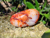 Polished Carnelian Palm Stones x 24 From Madagascar - Toprock Gemstones and Minerals