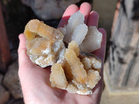 Natural Golden Limonite Spirit Quartz Clusters x 12 From Boekenhouthoek, South Africa - Toprock Gemstones and Minerals
