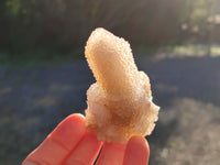 Natural Golden Limonite Spirit Quartz Clusters x 12 From Boekenhouthoek, South Africa - Toprock Gemstones and Minerals