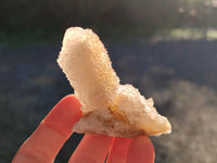 Natural Golden Limonite Spirit Quartz Clusters x 12 From Boekenhouthoek, South Africa - Toprock Gemstones and Minerals