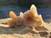 Natural Golden Limonite Spirit Quartz Clusters x 12 From Boekenhouthoek, South Africa - Toprock Gemstones and Minerals