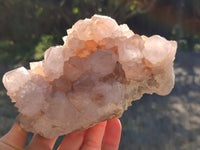 Natural Cactus Flower Amethyst Spirit Clusters x 1 From South Africa - Toprock Gemstones and Minerals