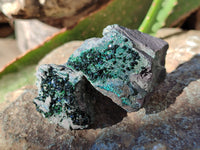 Natural Libethenite Crystals On Dolomite Matrix Specimens x 12 From Shituru, Congo - Toprock Gemstones and Minerals