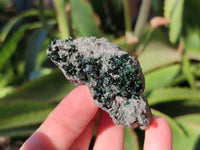 Natural Libethenite Crystals On Dolomite Matrix Specimens x 12 From Shituru, Congo - Toprock Gemstones and Minerals