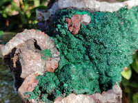 Natural Ball Malachite On Dolomite Matrix Specimens x 1 From Kambove, Congo - Toprock Gemstones and Minerals