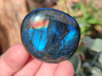 Polished Labradorite Palm Stones x 24 From Tulear, Madagascar - Toprock Gemstones and Minerals