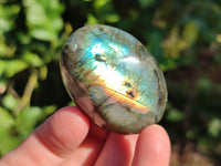 Polished Labradorite Palm Stones x 24 From Tulear, Madagascar - Toprock Gemstones and Minerals