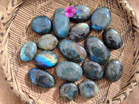 Polished Labradorite Palm Stones x 24 From Tulear, Madagascar - Toprock Gemstones and Minerals