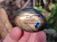 Polished Labradorite Palm Stones x 24 From Tulear, Madagascar - Toprock Gemstones and Minerals