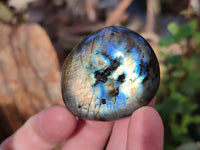 Polished Labradorite Palm Stones x 24 From Tulear, Madagascar - Toprock Gemstones and Minerals