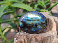 Polished Labradorite Palm Stones x 24 From Tulear, Madagascar - Toprock Gemstones and Minerals