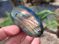 Polished Labradorite Palm Stones x 24 From Tulear, Madagascar - Toprock Gemstones and Minerals