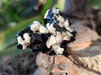 Natural Schorl Black Tourmaline with Hyalite Opal x 35 From Erongo, Namibia - Toprock Gemstones and Minerals